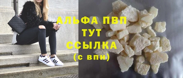 прущие грибы Бородино