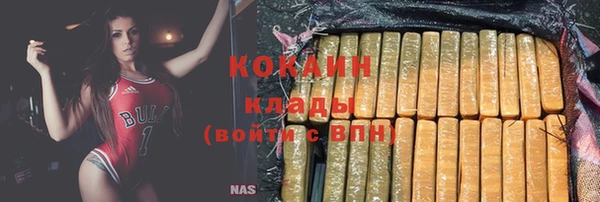 прущие грибы Бородино
