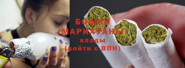 прущие грибы Бородино