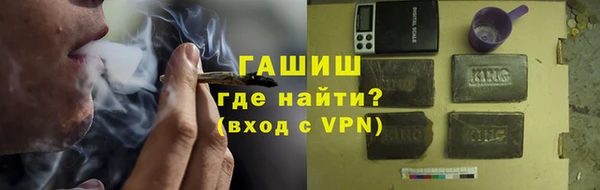 хмурый Тайга