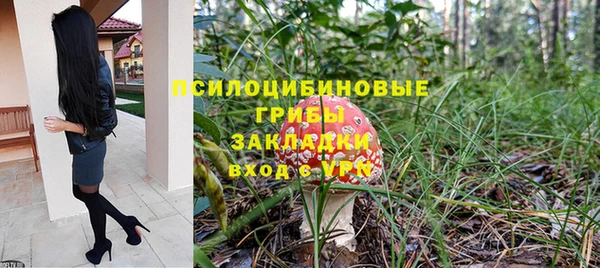 mdpv Богородск
